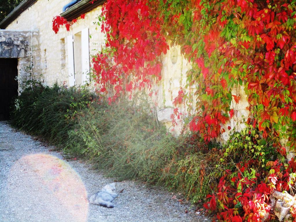 Gites Coeur De Lot Soucirac Bagian luar foto